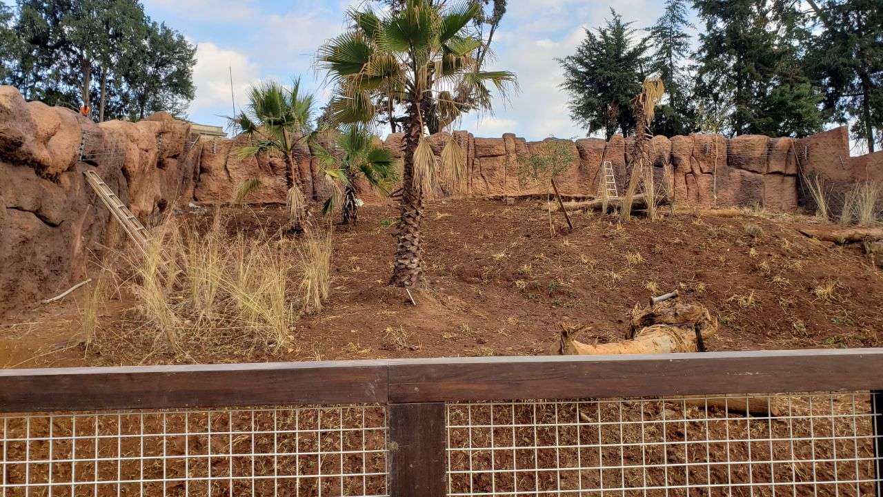 Cheetah Enclosure